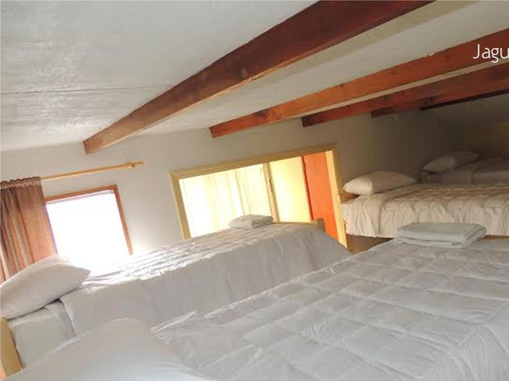Hostel Jaguar Vina del Mar Cameră foto